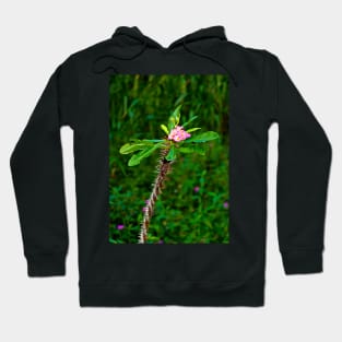 Pink Crown of Thorns Hoodie